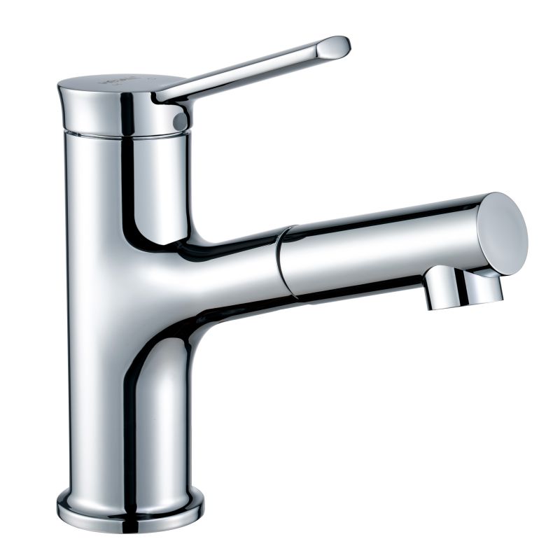 Single Function Pull Out Bathroom Basin Faucet